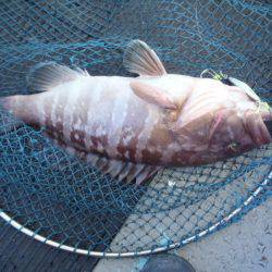 第二龍勢丸 釣果