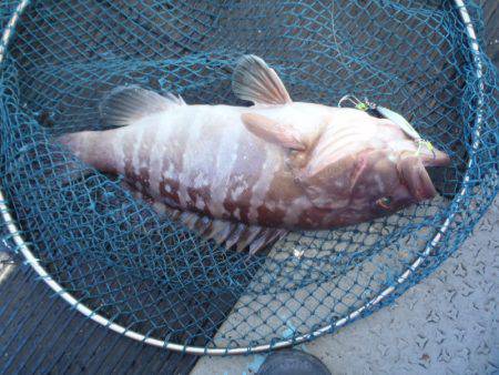 第二龍勢丸 釣果