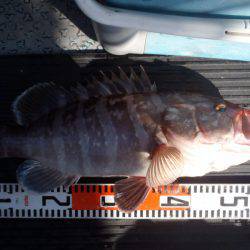 第二龍勢丸 釣果