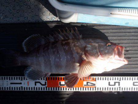 第二龍勢丸 釣果