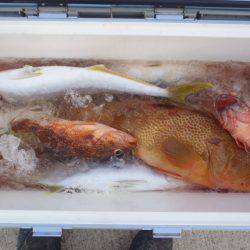 第二龍勢丸 釣果