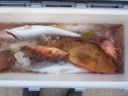 第二龍勢丸 釣果