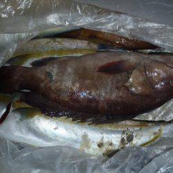 第二龍勢丸 釣果