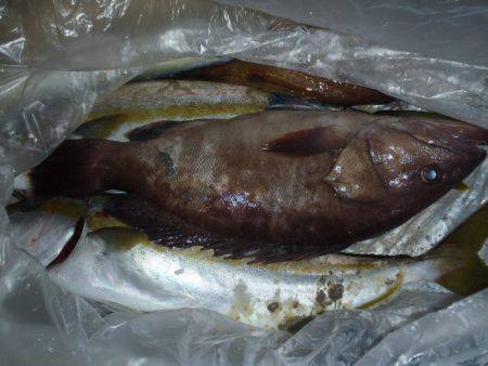 第二龍勢丸 釣果