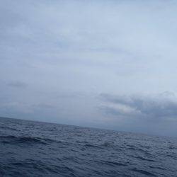 第二龍勢丸 釣果