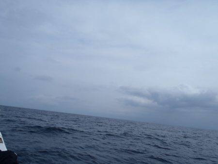 第二龍勢丸 釣果