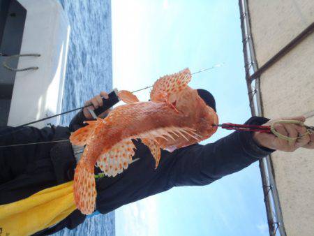 第二龍勢丸 釣果