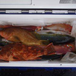 第二龍勢丸 釣果