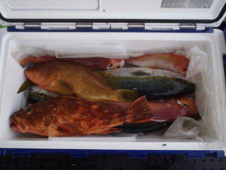 第二龍勢丸 釣果