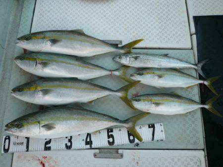 オーシャンスター(Ocean Star) …