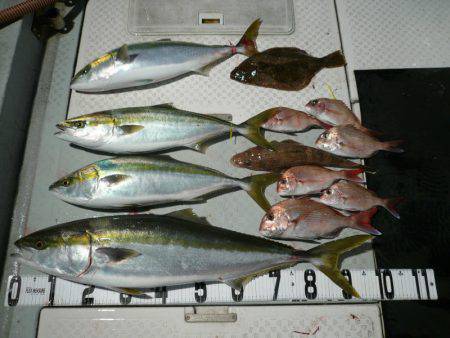 オーシャンスター(Ocean Star) …