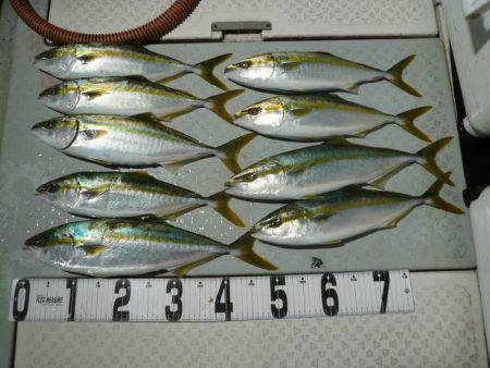 オーシャンスター(Ocean Star) …