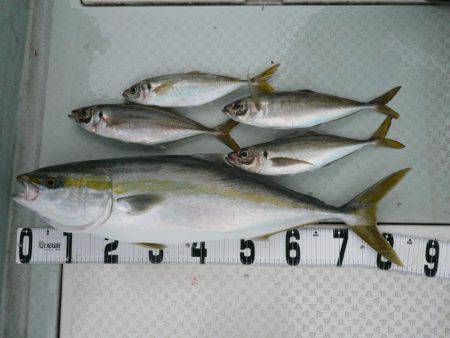 オーシャンスター(Ocean Star) …