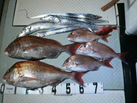 オーシャンスター(Ocean Star) …