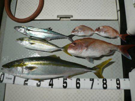 オーシャンスター(Ocean Star) …