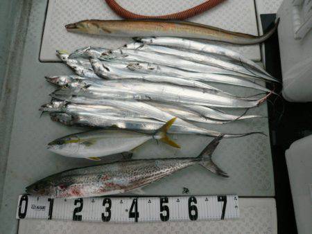 オーシャンスター(Ocean Star) …