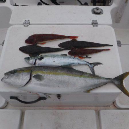 JDI Racing シールズマリンレジャー 釣果