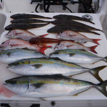 ＪＤＩ　Ｒａｃｉｎｇ　シールズマリンレジャ…