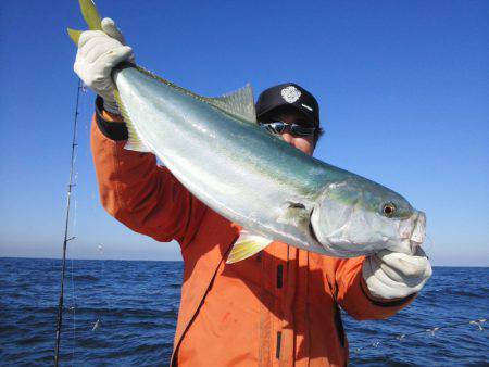 ひな丸 釣果