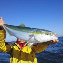 ひな丸 釣果