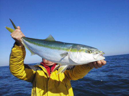 ひな丸 釣果