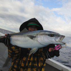 ひな丸 釣果