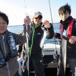Chase(チェイス) 釣果