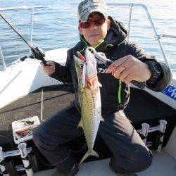 Chase(チェイス) 釣果