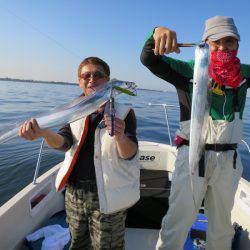 Chase（チェイス） 釣果