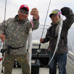 Chase（チェイス） 釣果