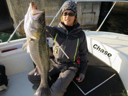 Chase（チェイス） 釣果