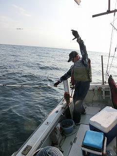 第二清洋丸 釣果