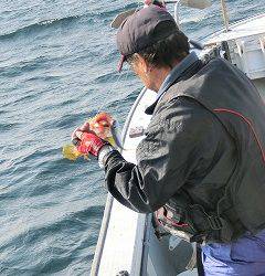 第二清洋丸 釣果