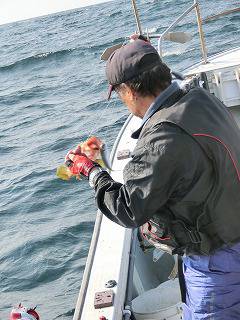 第二清洋丸 釣果