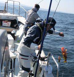 第二清洋丸 釣果