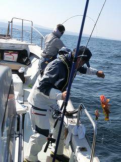 第二清洋丸 釣果