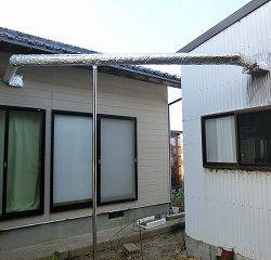 第二清洋丸 釣果