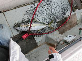 第二清洋丸 釣果