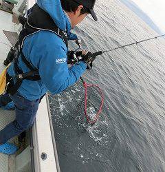 第二清洋丸 釣果