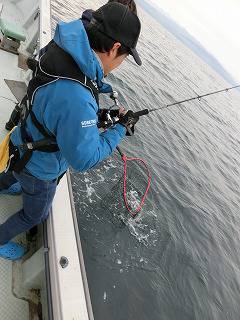 第二清洋丸 釣果