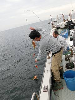 第二清洋丸 釣果