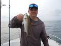 釣船　キティ 釣果