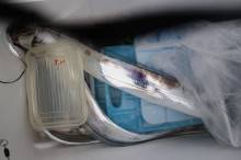 KIM Fishing Guide Service 釣果