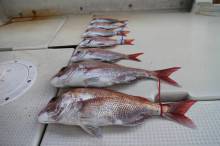 KIM Fishing Guide Ser…