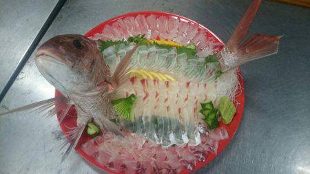 リトルワン 釣果