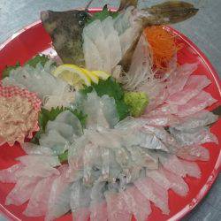 リトルワン 釣果