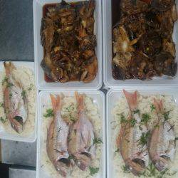 リトルワン 釣果