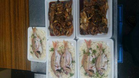 リトルワン 釣果