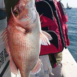 リトルワン 釣果