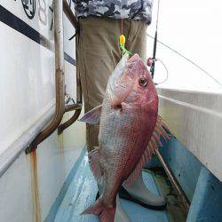 リトルワン 釣果